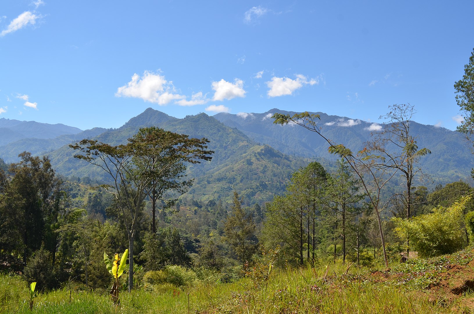 The West Papuan Highlands, where Trish first experienced aviation (By eGuide Travel - Papua New Guinea, CC BY 2.0, https://commons.wikimedia.org/w/index.php?curid=22969919)