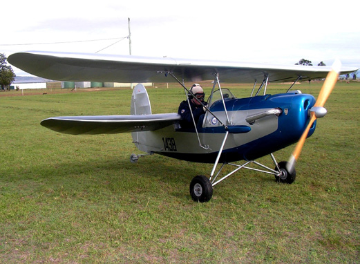 Patrick Martin's Flying Flea
